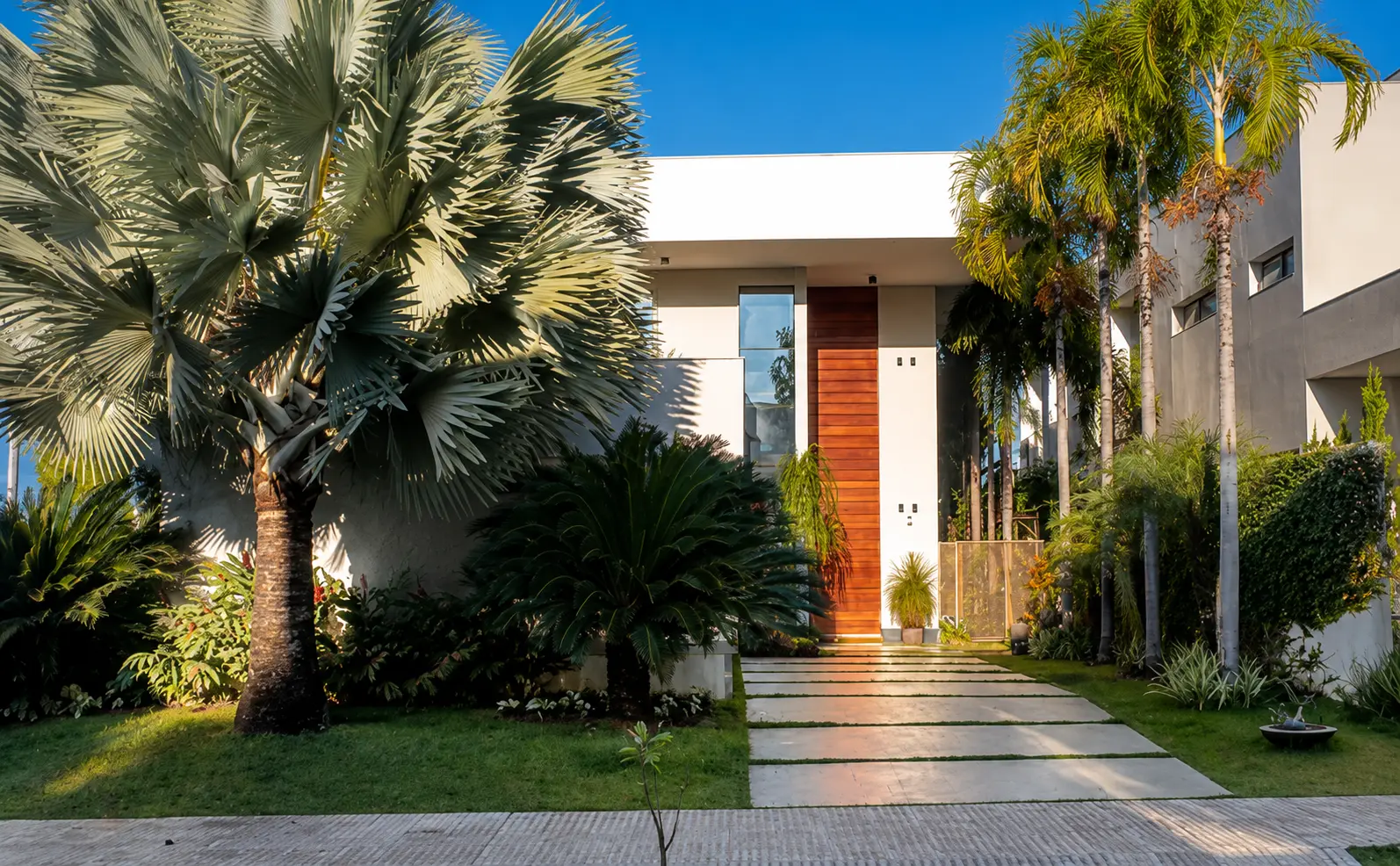 Fachada da casa de alto padrão com palmeiras e entrada em madeira